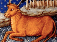 Taurus Tenuously Turning Back&nbsp;Time