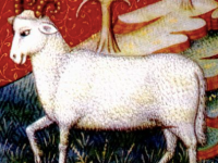 Aries Ramming into&nbsp;Action