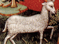 Capricorn Committed to the&nbsp;Outcome